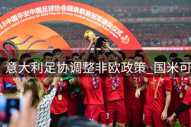意大利足协调整非欧政策 国米可同时引进三名英格兰球员