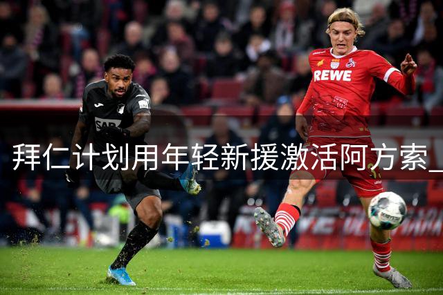 拜仁计划用年轻新援激活阿方索 未来一年或成最后救赎机会