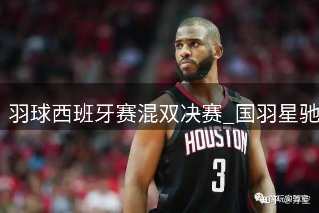 羽球西班牙赛混双决赛 国羽星驰组合惜败印尼获银牌