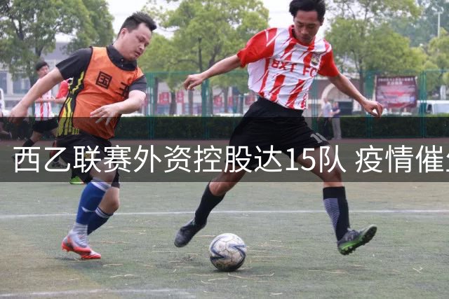 西乙联赛外资控股达15队 疫情催生俱乐部易主潮